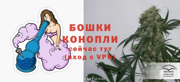 ГАЛЛЮЦИНОГЕННЫЕ ГРИБЫ Бугульма