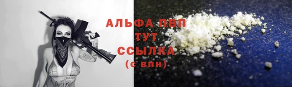 МДПВ Богородск