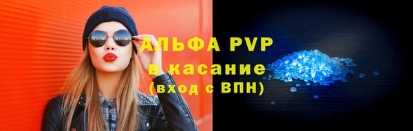 эйфоретик Богданович