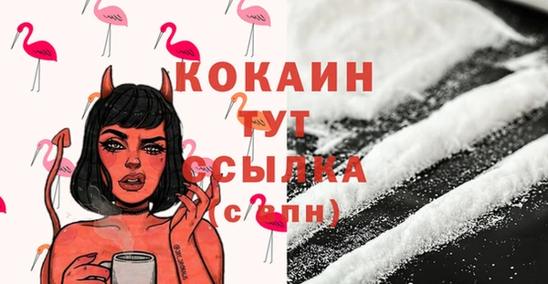 МДПВ Богородск