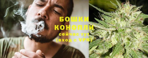 эйфоретик Богданович