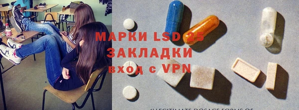 эйфоретик Богданович