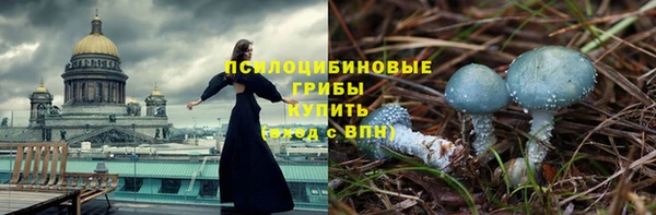 хмурый Бронницы