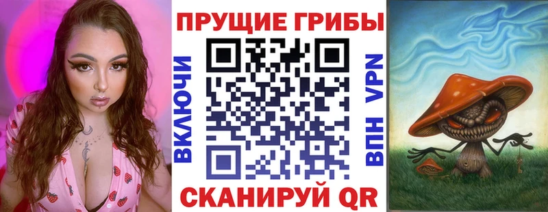 KRAKEN ТОР  хочу   Тольятти  Галлюциногенные грибы Psilocybine cubensis 